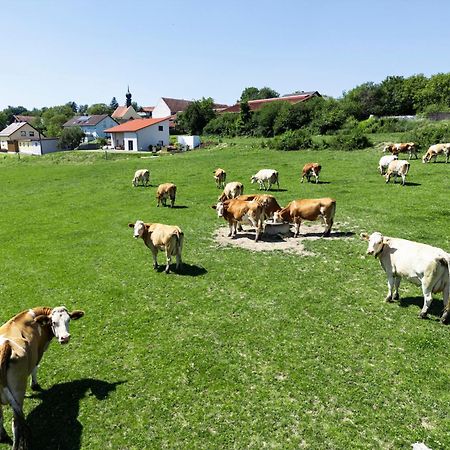 Wo Sich Kuh, Fuchs Und Hase Gute Nacht Sagen Leilighet Wolfsegg Eksteriør bilde